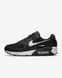 Фотография Кроссовки мужские Nike Air Max 90 (DH8010-002) 1 из 6 | SPORTKINGDOM