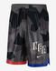 Фотографія Шорти чоловічі Nike Dri-Fit Nba Shorts (DN4808-254) 1 з 4 | SPORTKINGDOM