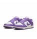 Фотографія Кросівки жіночі Nike Dunk Low Next Nature (DD1873-108) 6 з 11 | SPORTKINGDOM
