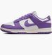 Фотографія Кросівки жіночі Nike Dunk Low Next Nature (DD1873-108) 1 з 11 | SPORTKINGDOM