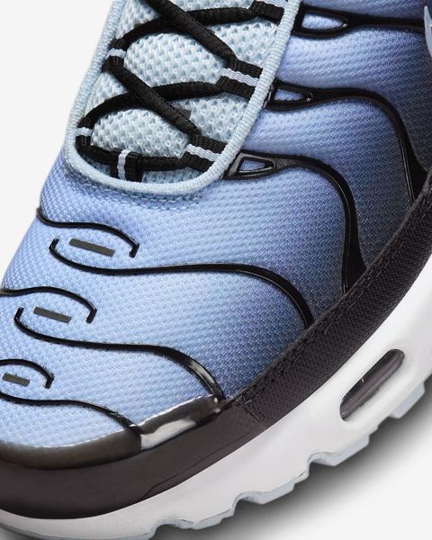 Кроссовки мужские Nike Air Max Plus Swoosh Pack Blue Tint (DM0032-008), 42.5, WHS, 1-2 дня