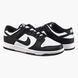 Фотографія Кросівки унісекс Nike Dunk Low Retro (DD1391-100) 1 з 10 | SPORTKINGDOM