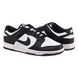 Фотографія Кросівки чоловічі Nike Dunk Low Retro (DD1391-100) 1 з 5 | SPORTKINGDOM