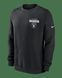 Фотографія Кофта чоловіча Nike Las Vegas Raiders Club (NKPV00A8D-KU0) 1 з 3 | SPORTKINGDOM