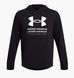 Фотография Кофта мужская Under Armour Rival Terry Graphic Black (1386047-001) 1 из 4 | SPORTKINGDOM