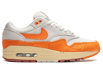 Кроссовки унисекс Nike Air Max 1 Wmns (DZ4709-001), 43, WHS, 10% - 20%, 1-2 дня