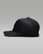 Фотография Кепка Jordan Rise Structured Curved-Bill (HJ0627-010) 4 из 4 | SPORTKINGDOM