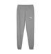 Фотография Брюки мужские Puma Teamgoal Casuals Grey (658598-33) 2 из 3 | SPORTKINGDOM
