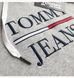 Фотографія Кофта чоловічі Tommy Hilfiger Logo Hoodie (T1BH0BHZ) 2 з 3 | SPORTKINGDOM