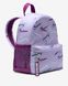 Фотографія Рюкзак Nike Brasilia Jdi Kids' Mini Backpack (11L) (FN0954-512) 2 з 3 | SPORTKINGDOM