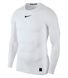 Фотографія Термобілизна чоловіча Nike Pro Longsleeve Compression Top (838077-100) 1 з 2 | SPORTKINGDOM