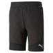 Фотографія Шорти чоловічі Puma Evostripe Men's Shorts (67331401) 1 з 3 | SPORTKINGDOM