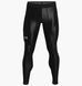 Фотография Термобелье мужское Under Armour Hg Isochill (1365226-001) 1 из 5 | SPORTKINGDOM
