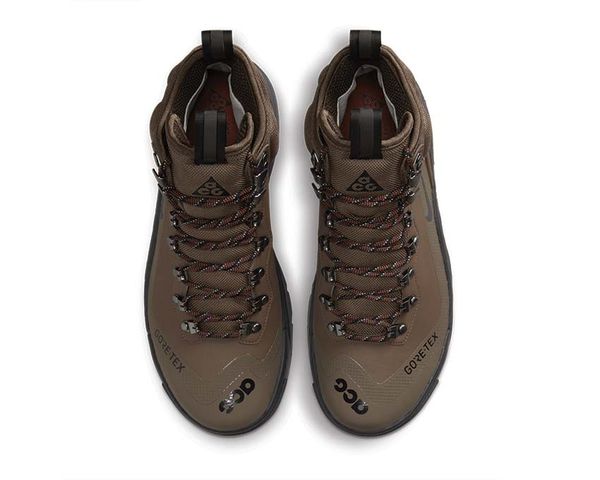 Ботинки мужские Nike Acg Zoom Gaiadome Gtx (DD2858-200), 41, WHS, 1-2 дня