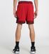 Фотография Шорты мужские Jordan Mesh Diamond Shorts (DH9075-687) 2 из 3 | SPORTKINGDOM
