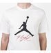 Фотографія Футболка чоловіча Jordan Jumpman Flight Men's T-Shirt (AO0664-100) 3 з 4 | SPORTKINGDOM