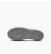 Фотографія Кросівки жіночі Nike Dunk Low Gs (FB9109-123) 2 з 8 | SPORTKINGDOM