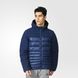 Фотографія Куртка чоловіча Adidas Cosy Down Jkt (AP9567) 1 з 8 | SPORTKINGDOM