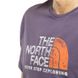 Фотография Футболка мужская The North Face Rust 2 (NF0A4M68IWA1) 3 из 4 | SPORTKINGDOM