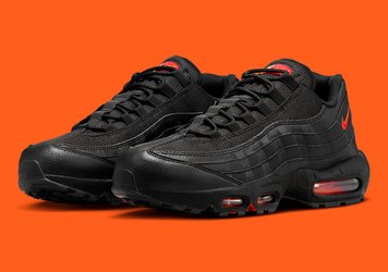 Кроссовки мужские Nike Air Max 95 (FZ4626-002), 40, WHS, 10% - 20%, 1-2 дня