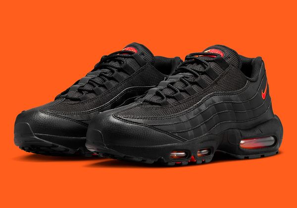 Кроссовки мужские Nike Air Max 95 (FZ4626-002), 40, WHS, 10% - 20%, 1-2 дня