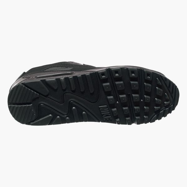 Кросівки чоловічі Nike Air Max 90 (CN8490-003), 40.5, OFC, 30% - 40%, 1-2 дні