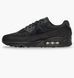 Фотографія Кросівки чоловічі Nike Air Max 90 Black (DM0029-024) 1 з 6 | SPORTKINGDOM