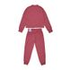 Фотографія Спортивний костюм дитячий Nike G Nsw Trk Suit Tricot (CU8374-622) 2 з 5 | SPORTKINGDOM