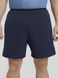 Фотография Шорты мужские Nike Np Flex Rep Short 2.0 Npc (CU4991-451) 6 из 6 | SPORTKINGDOM