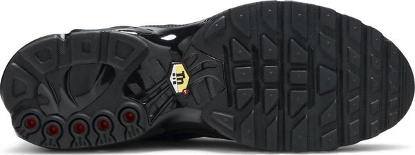 Кроссовки мужские Nike Air Max Plus Tn 'Triple Black' (AJ2029-001), 43, WHS, 20% - 30%, 1-2 дня