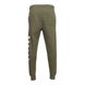 Фотографія Брюки чоловічі Nike M J Flt Mvp Fleece Pant (DV1603-325) 3 з 3 | SPORTKINGDOM