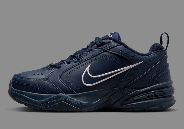 Кроссовки мужские Nike Air Monarch Iv (FB7143-403), 43, WHS, 10% - 20%, 1-2 дня