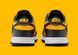 Фотографія Кросівки чоловічі Nike Dunk Low (FZ4618-001) 5 з 5 | SPORTKINGDOM