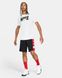 Фотография Шорты мужские Nike Dri-Fit (CV1866-010) 5 из 5 | SPORTKINGDOM
