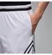 Фотография Шорты мужские Jordan Diamond Sport (HF9910-100) 4 из 6 | SPORTKINGDOM