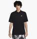 Фотографія Футболка чоловіча Nike Club (FN3894-010) 1 з 4 | SPORTKINGDOM