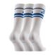 Фотографія Шкарпетки Nike U Nk Nsw Everyday Essential Crew 3Pr - Stripes (CQ0301-105) 2 з 2 | SPORTKINGDOM