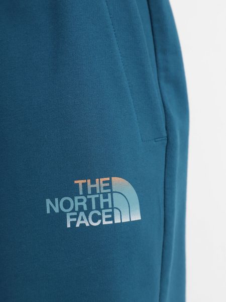 Шорти чоловічі The North Face Graphic (NF0A83FREFS1), M, WHS, 1-2 дні
