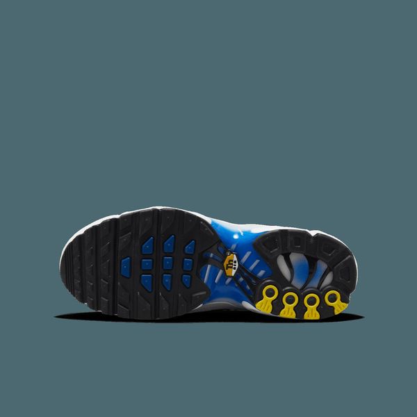 Кроссовки женские Nike Air Max Plus (Gs) (CD0609-019), 38, WHS, 10% - 20%, 1-2 дня