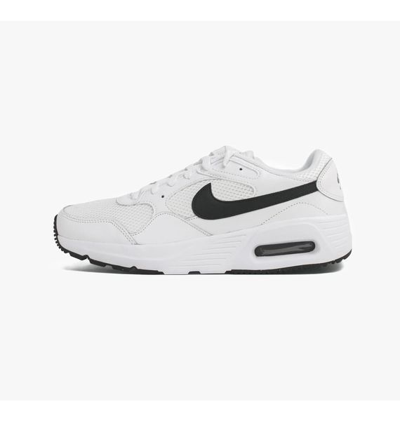 Кроссовки мужские Nike Air Max Sc (CW4555-102), 41, WHS, > 50%, 1-2 дня