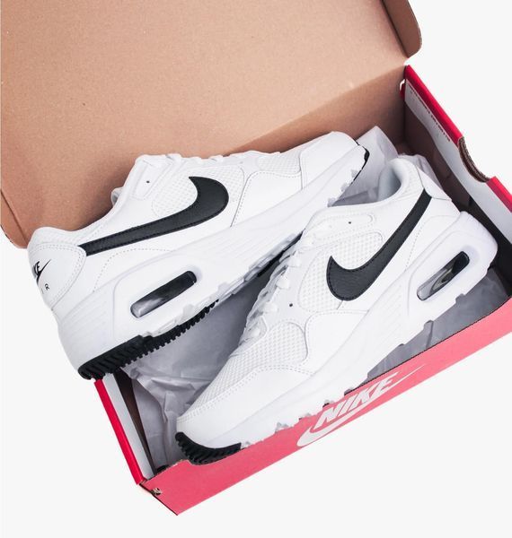 Кроссовки мужские Nike Air Max Sc (CW4555-102), 41, WHS, > 50%, 1-2 дня