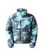 Фотография Куртка мужская The North Face Elements 2000 Printed Jacket (NF0A7WW6957) 1 из 5 | SPORTKINGDOM