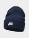 Фотография Шапка Nike Peak Tall Cuff Futura (FB6528-410) 1 из 2 | SPORTKINGDOM