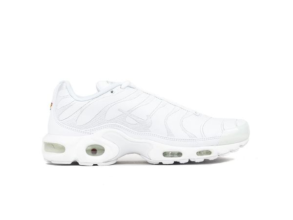 Кроссовки мужские Nike Air Max Plus (AJ2029-100), 44.5, WHS, 30% - 40%, 1-2 дня