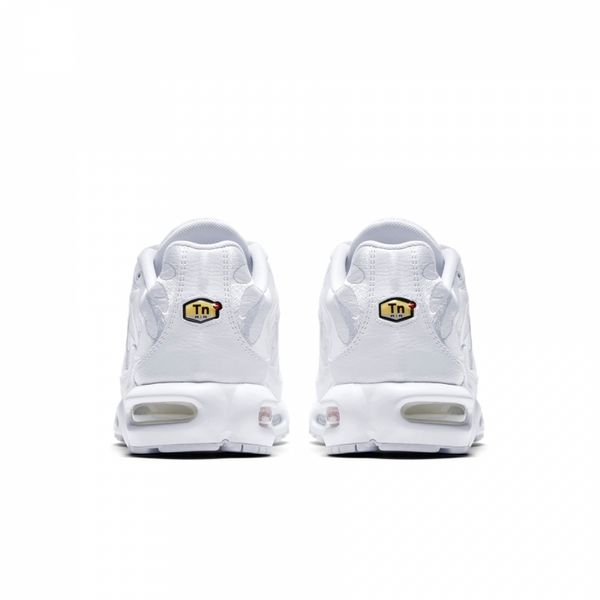 Кроссовки мужские Nike Air Max Plus (AJ2029-100), 44.5, WHS, 30% - 40%, 1-2 дня