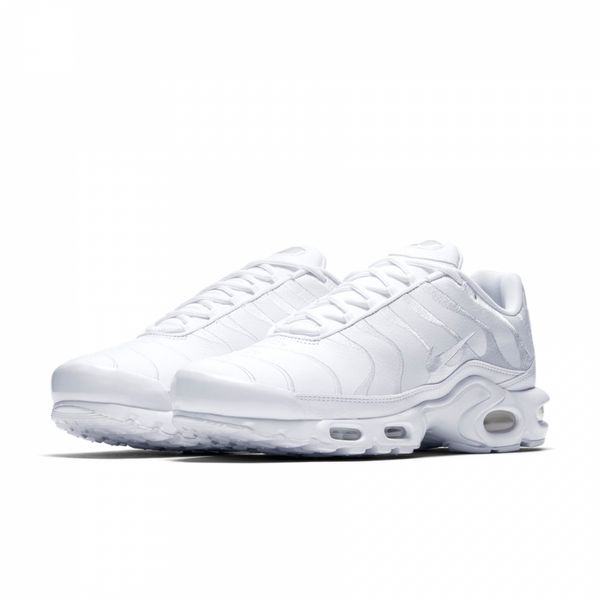 Кроссовки мужские Nike Air Max Plus (AJ2029-100), 44.5, WHS, 30% - 40%, 1-2 дня