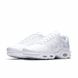 Фотография Кроссовки мужские Nike Air Max Plus (AJ2029-100) 1 из 5 | SPORTKINGDOM