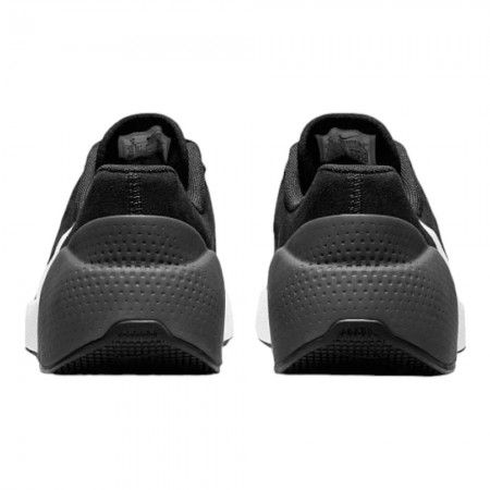 Кросівки чоловічі Nike Air Zoom Tr 1 (DX9016-002), 41, WHS, 1-2 дні