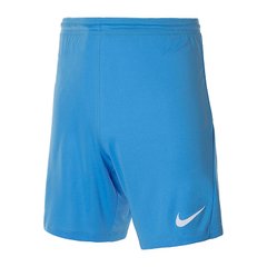Шорты мужские Nike M Nk Dry Park Iii Short Nb K (BV6855-412), L, WHS, 10% - 20%, 1-2 дня