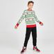 Фотографія Светр дитячий Jordan Jumpman Holiday Christmas Sweatshirt Sweater (CT3459-010) 2 з 4 | SPORTKINGDOM